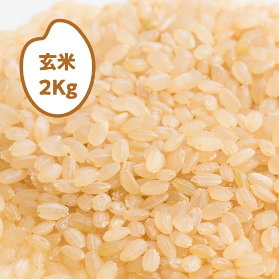 イエロー様専用ページ キッチンキーパー（米10kg）3個セット