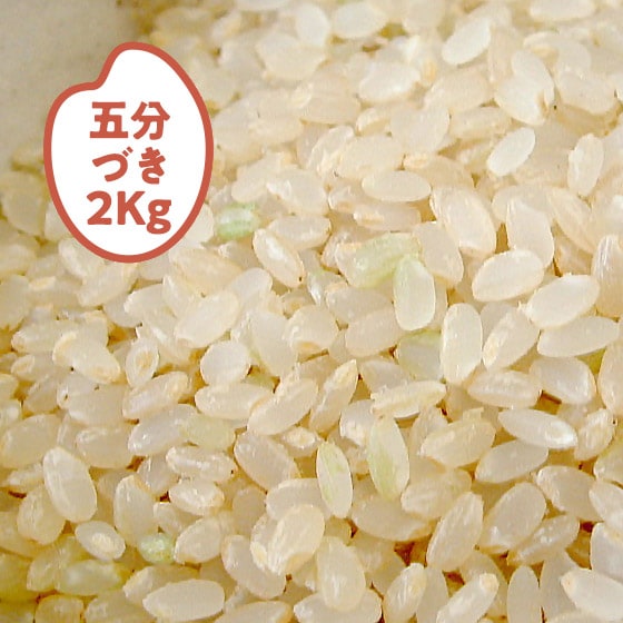 [2024NY]ЂƂ߂ڂ R`Y(ܕÂ)2kg