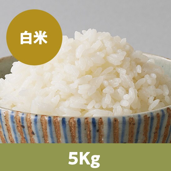 y25Nė\zkCӂ񂱔5kg