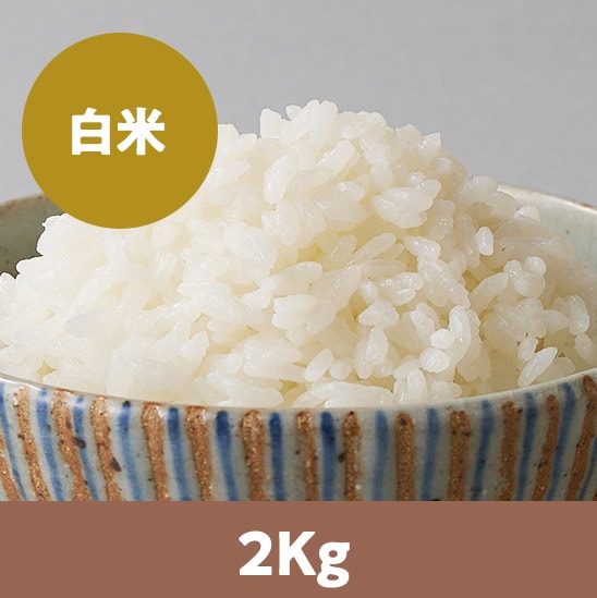 �y25�N�ė\��z�k�C���ӂ�����񂱔���2kg