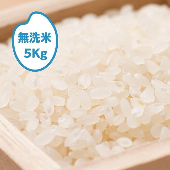 [ēwȂ]24NY 䂤21  5kg