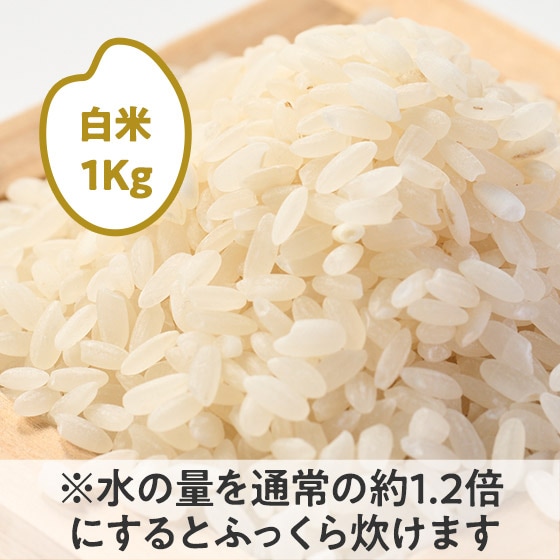米 の検索結果 - Oisix (おいしっくす)