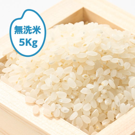 [2025�N�Y]�T�L�z�R�� �H�c����k�S(����E������)5kg