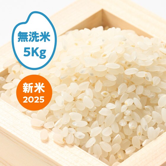 [2025NY]TLzR HckS(E)5kg