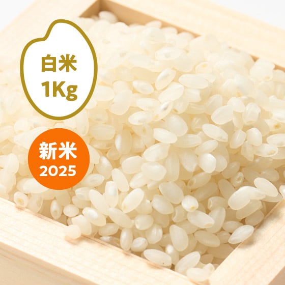 [2025NY]̞K ̂̈ 򕌌Cs()1kg