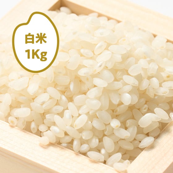 [2025�N�Y]��̞K ���̂��̈� �򕌌����C�s(����)1kg