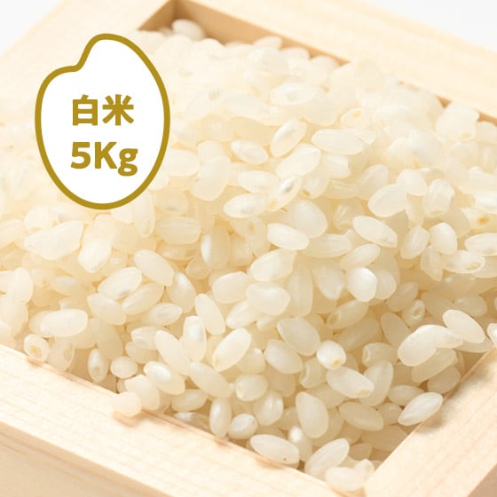 [2025�N�Y]��̞K ���̂��̈� �򕌌����C�s(����)5kg