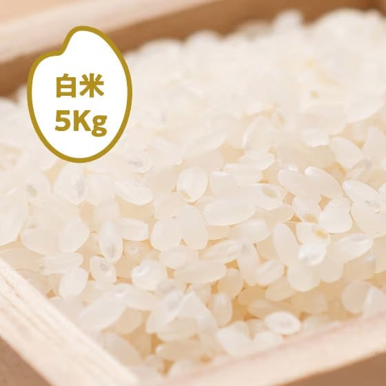 [���ē��w��Ȃ�]24�N�Y�R�V�q�J���V����(����)5kg ��