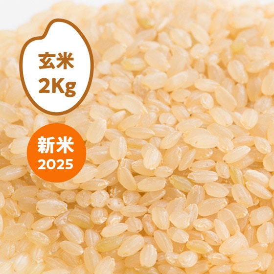 [2025NY]  Ȗ،JSY()2kg