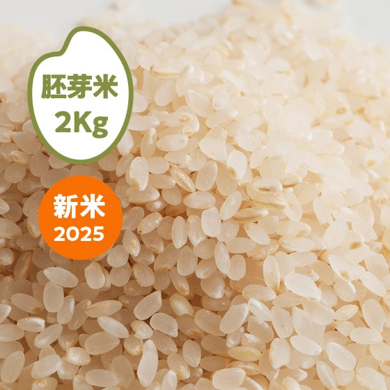 [2025NY]  Ȗ،JSY()2kg