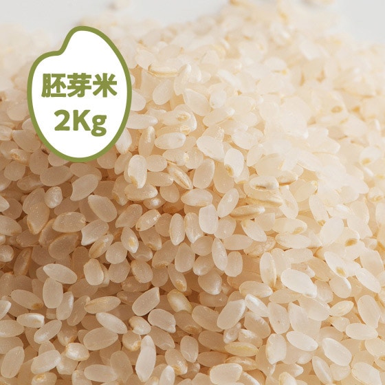 [2025�N�Y] �������� �Ȗ،����J�S�Y(����)2kg