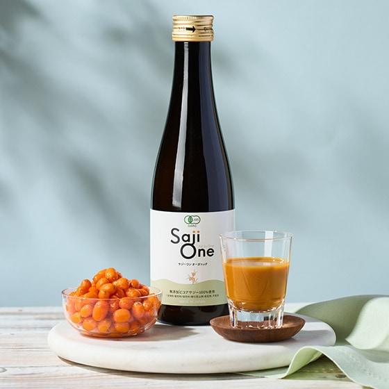 �T�W�[100���I�T�W�[���� �I�[�K�j�b�N300ml