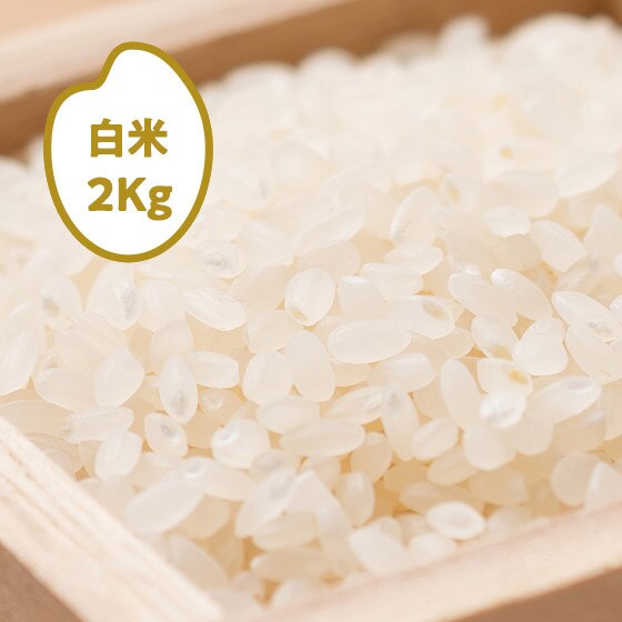 [2025�N�Y] ���܂���̋P�� �F�{�������S(����)2kg