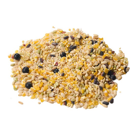 16��ނ̍����I�D�����G�� 22�����