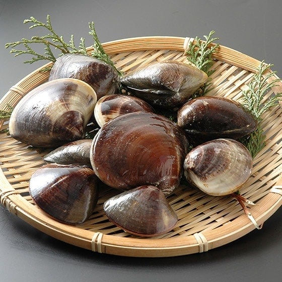 yܖ2/4zՂItYⓀn͂܂