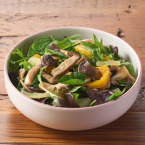 �i���؁j���̂��̂����ς�T���_