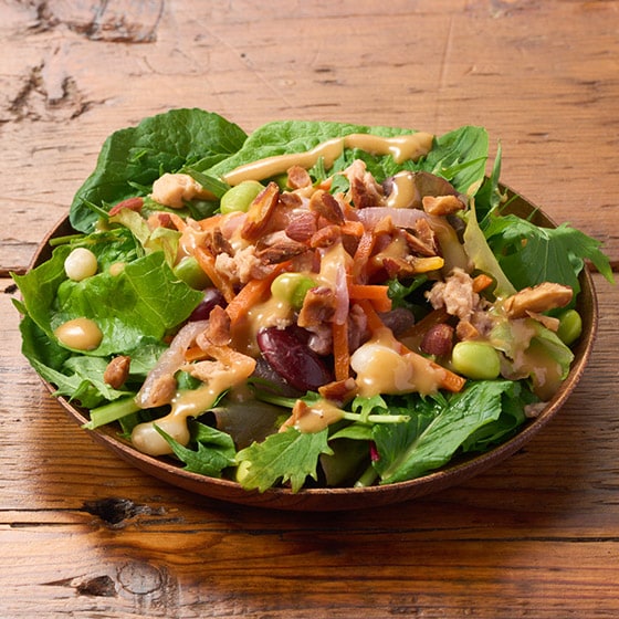 �i���؁j���܃h���i�b�c�T���_�i��؁j