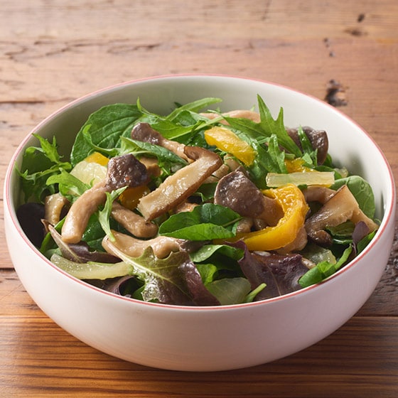 �i���؁j���̂��̂����ς�T���_