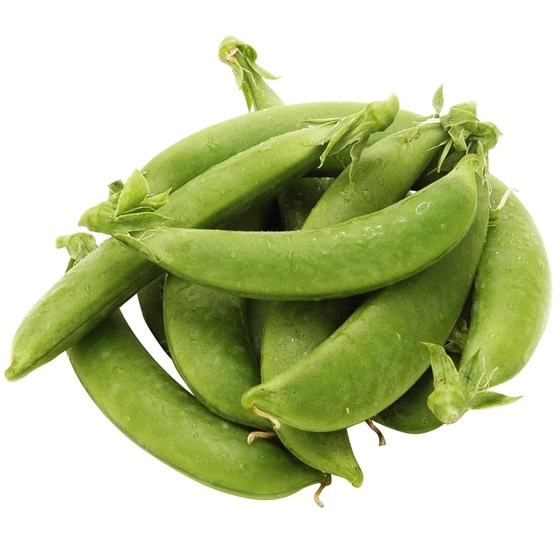 ₳Ö Xibvǂ(茧Y c)