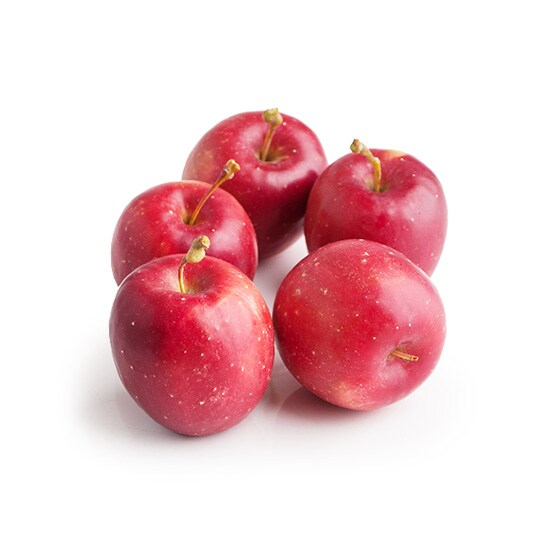 甘みはしっかり小さな アルプス乙女りんご 長野県産 林さん他 有機野菜 通販 oisix おいしっくす 甘みはしっかり小さな アルプス乙女りんご 長野県産 林さん他 有機野菜 通販 oisix おいしっくす