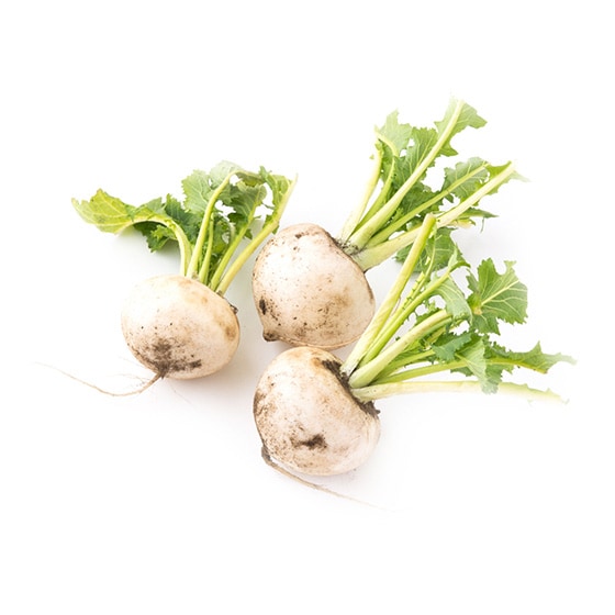 �t���[�c����(��t���Y ��������)