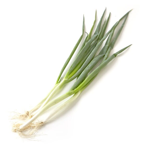 しなやかで甘味のある 九条ねぎ 京都府産 嶋崎さん他 有機野菜 通販 ｏｉｓｉｘ おいしっくす