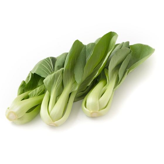 小さめサイズの チンゲンサイ（熊本県産 吉田さん他）|有機野菜