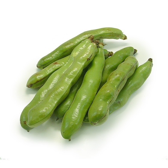 和歌山　そら豆　3粒　5kg　変更　10kg 楽天市場】和歌山県産 一寸そら豆 Lサイズ 4kg （箱） : 生鮮