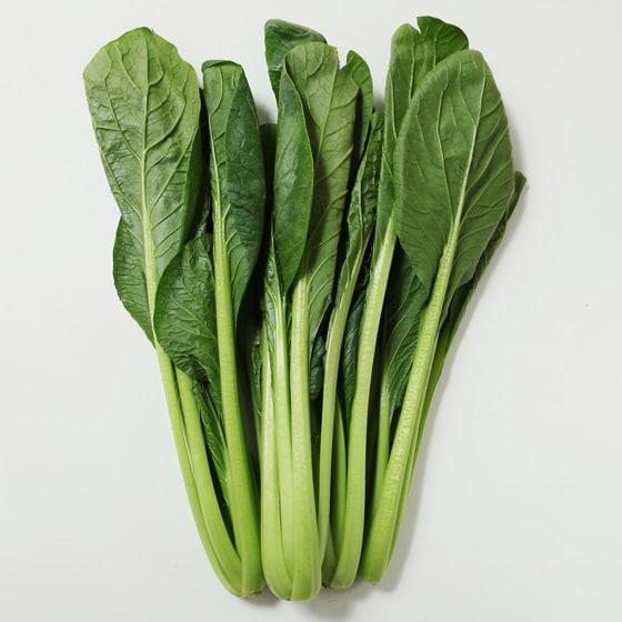 ������(�ޗǌ��Y�@��c���񑼁j