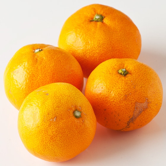 ͂Ȃ݂(QY r)