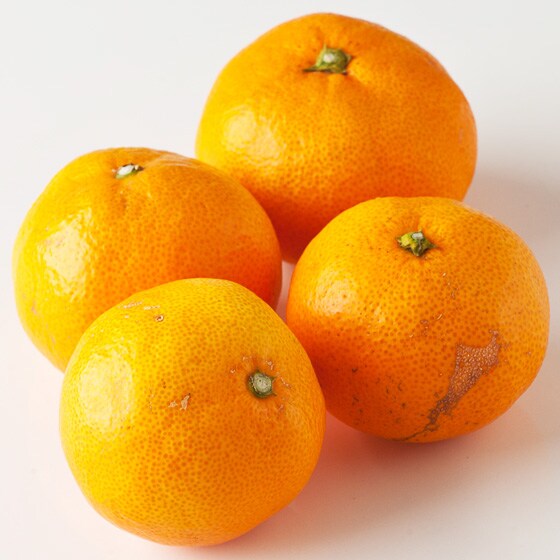 やわらかで味の濃い はなみかん 愛媛県産 溜池さん他 有機野菜 通販 oisix おいしっくす やわらかで味の濃い はなみかん 愛媛県産 溜池さん他 有機野菜 通販 oisix おいしっくす