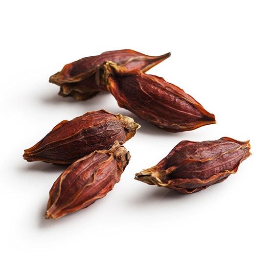 くちなしの実 オイシックス公式