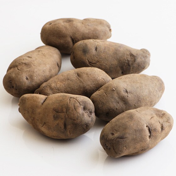 鮮やかな紫色で彩り豊かに じゃがいも シャドークイーン 北海道産 黒木さん他 有機野菜 通販 ｏｉｓｉｘ おいしっくす