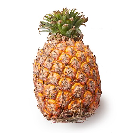 はちみつパイナップル 台湾産 郭さん他 有機野菜 通販 ｏｉｓｉｘ おいしっくす