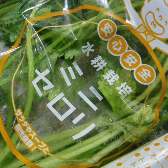 �y��������Ƃ�Ă��������z�Ђނ��~�j�Z����