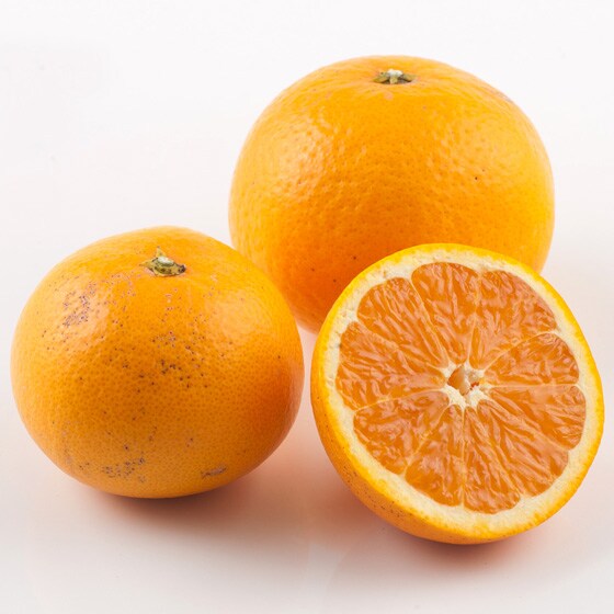 yƂĂzIW(F{Y)