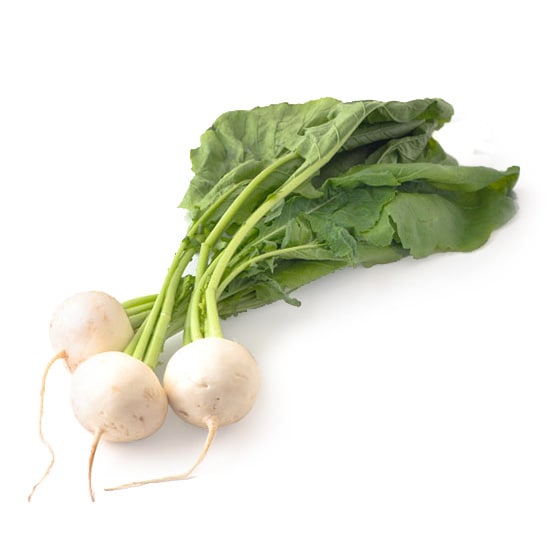 ݂ ܂(XY Go)