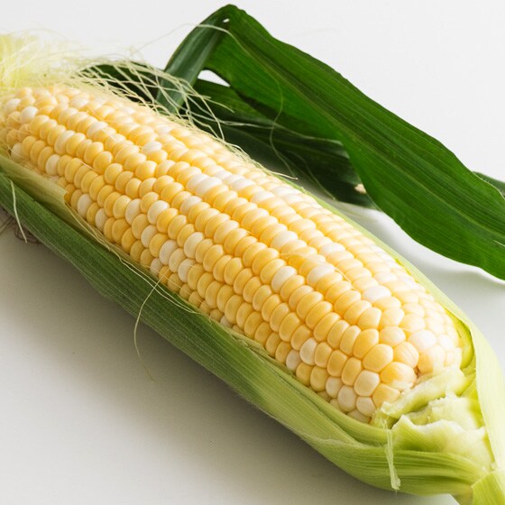 コク甘みのある とうもろこし 山形県産 高橋さん他 有機野菜 通販 oisix おいしっくす コク甘みのある とうもろこし 山形県産 高橋さん他 有機野菜 通販 oisix おいしっくす