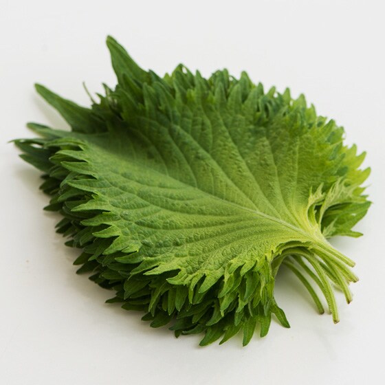 香り良く食べやすい 有機栽培大葉 北海道産 武山さん他 有機野菜 通販 ｏｉｓｉｘ おいしっくす