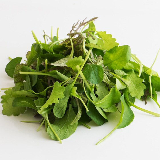 �y��������Ƃ�Ă��������z�x�r�[���[�t