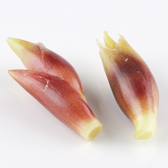 ݂傤(ޗǌY ēc)