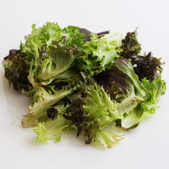 �y��������Ƃ�Ă��������z���[�t���^�X�~�b�N�X