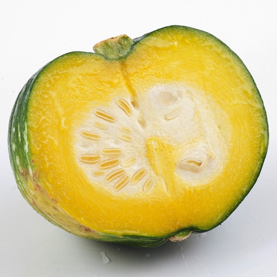 ���ڂ��R���[(1/2�J�b�g �k�C���Y �c����)