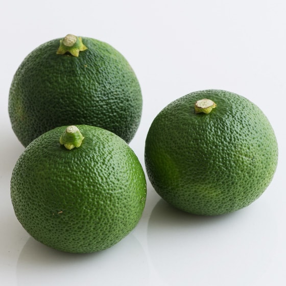 ւׂ({茧Y _)