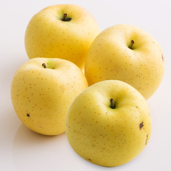 見た目は悪いけど中身ばっちり おいしさ白星りんご きおう 青森県産 有機野菜 通販 oisix おいしっくす 見た目は悪いけど中身ばっちり おいしさ白星りんご きおう 青森県産 有機野菜 通販 oisix おいしっくす
