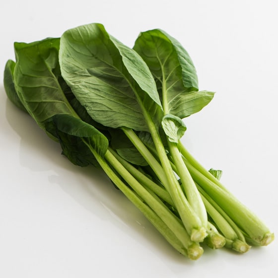 強かな小松菜様 專用 コマツナ はまつづき｜種（タネ）,球根,苗,資材,ガーデニンググッズの