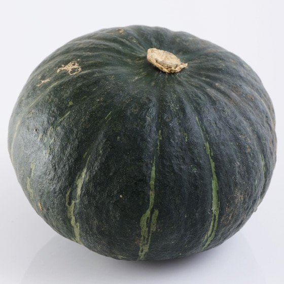 ���ڂ���(1�� �k�C���Y �א삳��)