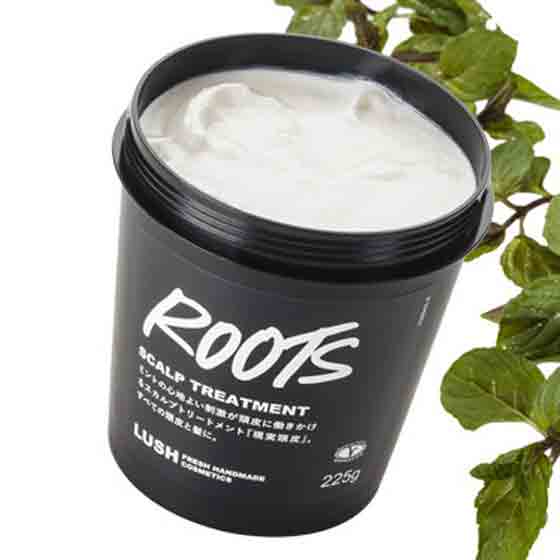 Roots 現実頭皮 スカルプトリートメント 有機野菜 通販 ｏｉｓｉｘ おいしっくす