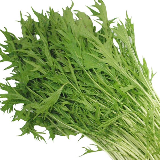 �y��������Ƃ�Ă��������z����(�Q�n���Y)