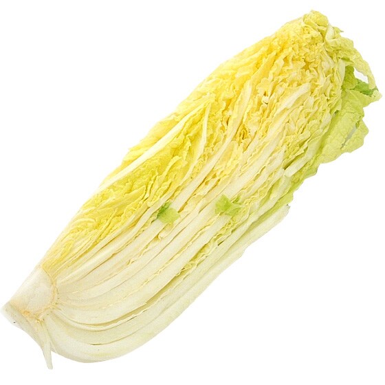 サクふわ！カット白菜(400g 群馬県産 加藤さん他)|有機野菜 通販